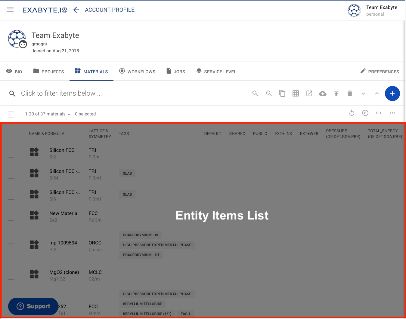 Entity Items List Entity Items List
